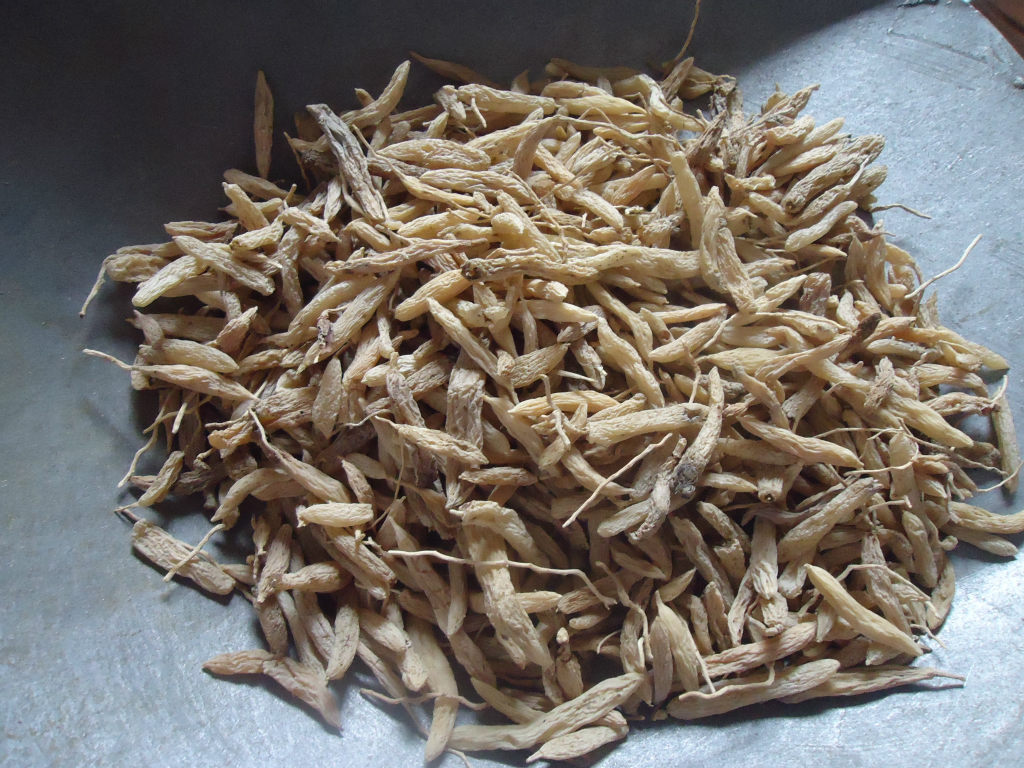 供应浙麦冬 麦冬片 麦门冬