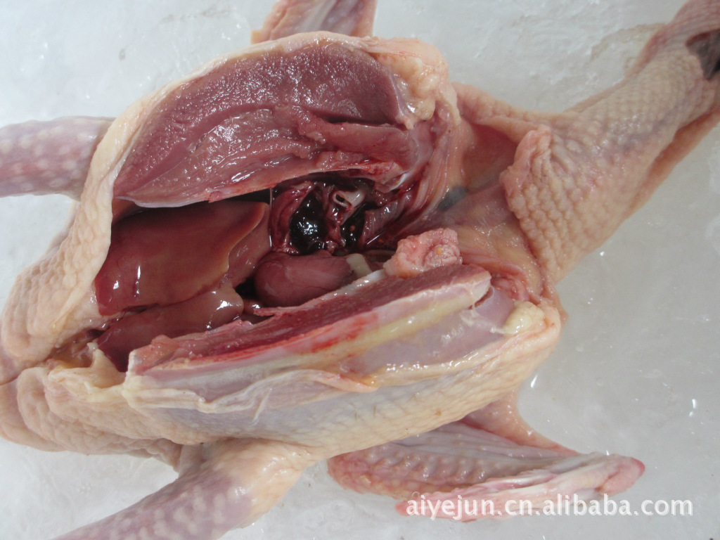 优质冰鲜乳鸽,肉鸽,鸽子(净膛6-7两,300g-350g)