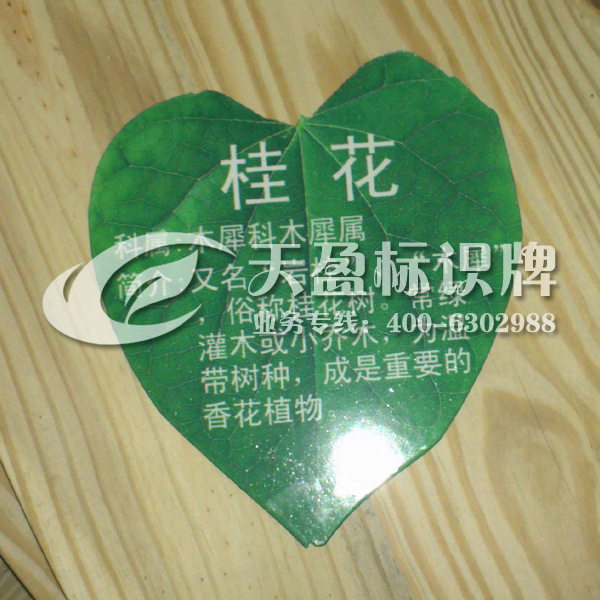 标牌 树木牌 树名牌 树木悬挂牌 树木介绍牌 仿真树叶牌