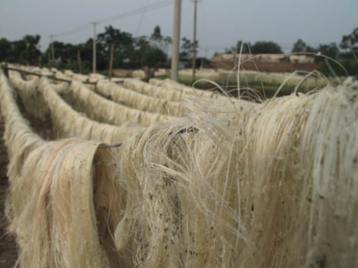 圣诞工艺品饰品制作材料剑麻丝 剑麻纤维 直纤维 可代染色等工艺