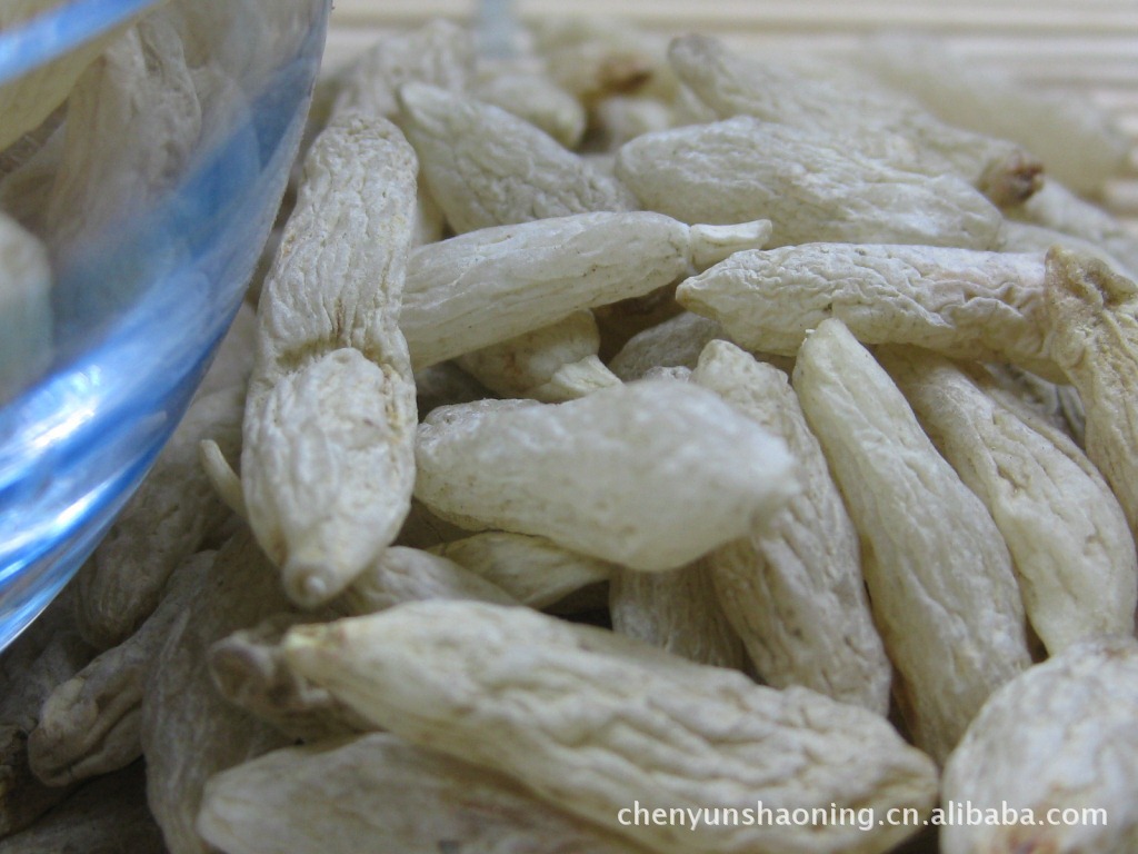 批发销售麦冬 寸冬 麦门冬 - 苗木批发交易网