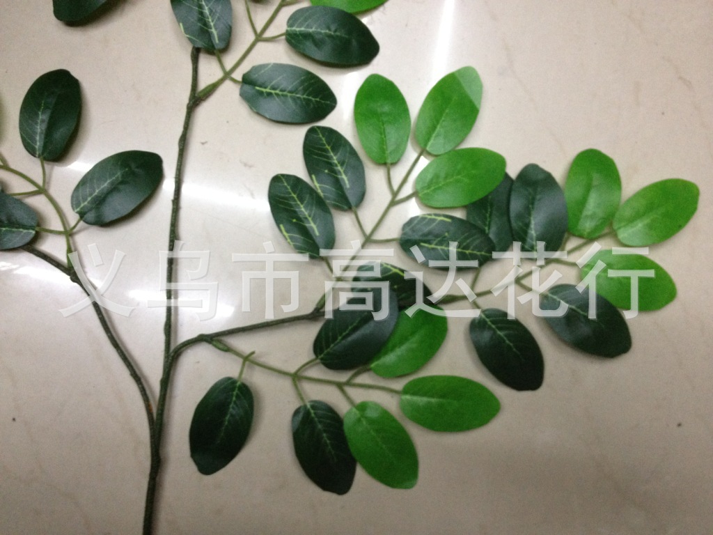 仿真白榕树枝仿真黄榕仿真粉榕仿真绿白榕假绿榕树_市图片