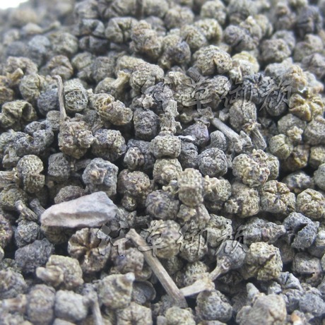 批发销售吴茱萸 吴萸 茶辣 辣子