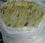 批发-野生黄花鱼胶 鱼肚 花胶 北海鳘鱼胶海产品