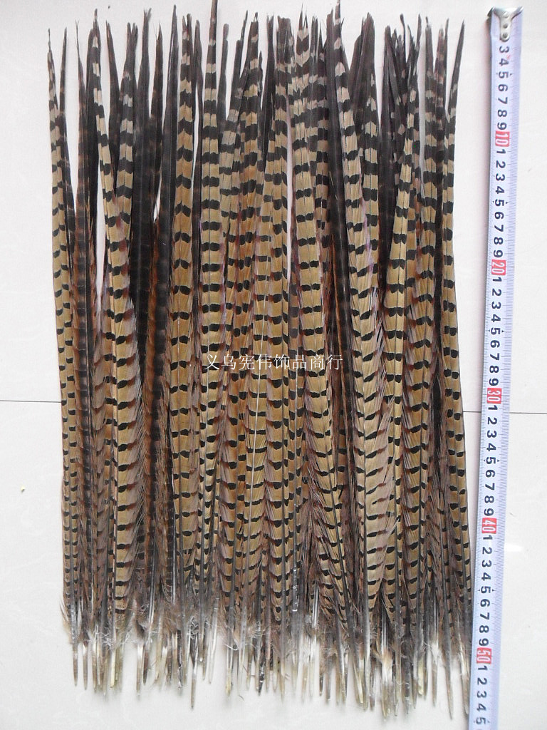 野鸡毛 京剧戏曲翎子 京戏翎子 俏花旦翎子