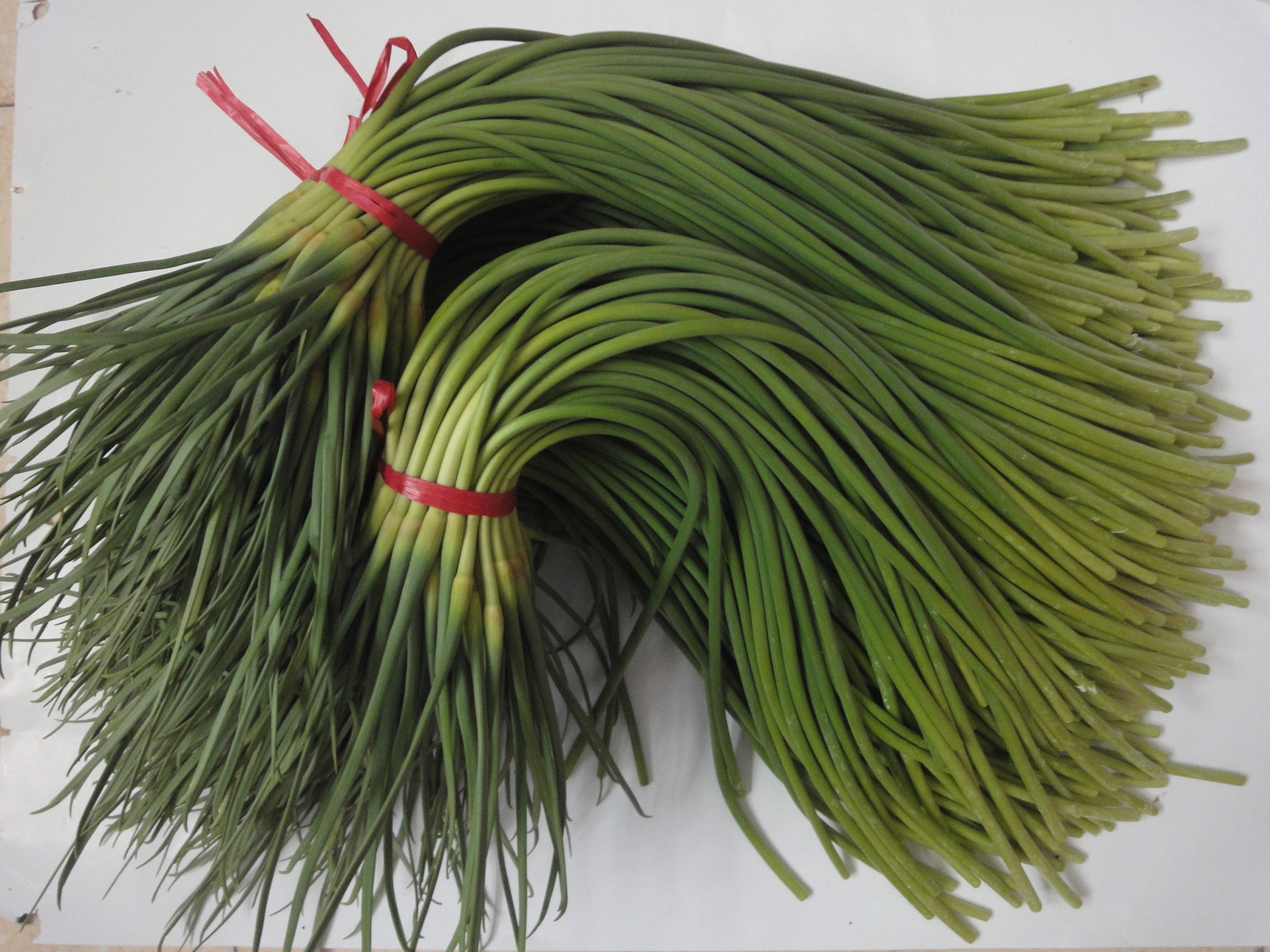 代购代销金乡蒜薹