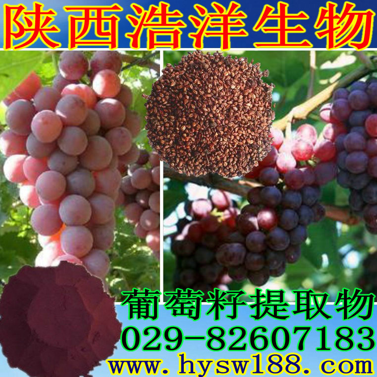 葡萄籽5_副本