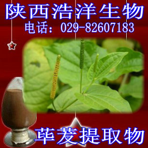 荜茇提取物