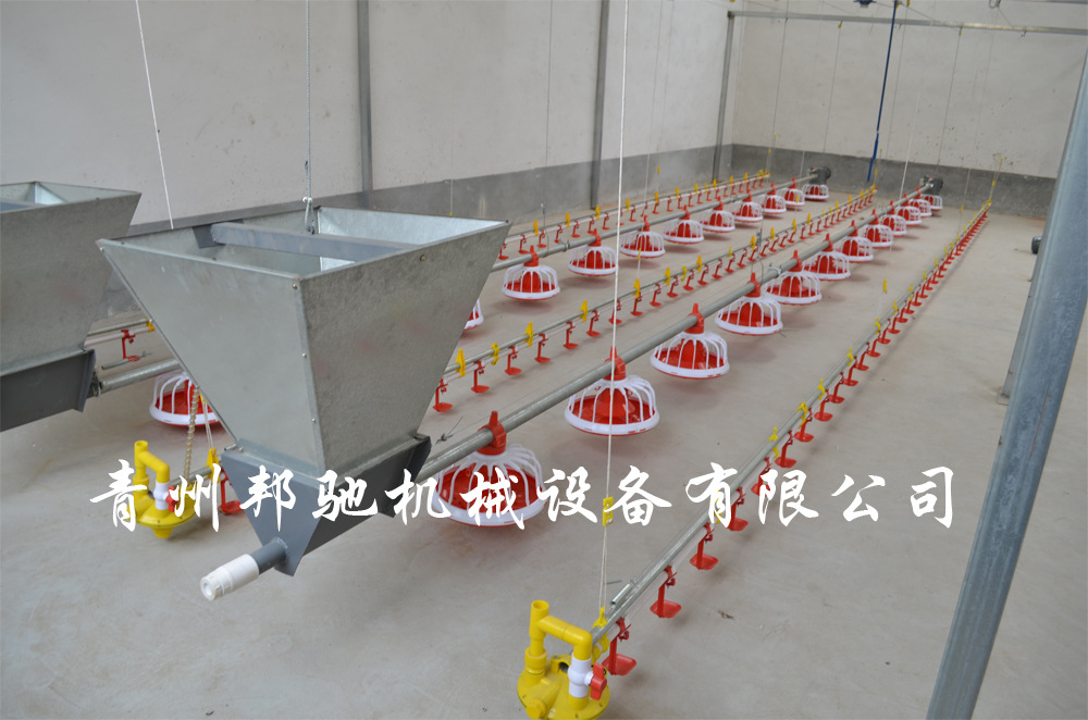 供肉鸡自动料线,肉鸡盘式喂料器,料线价格 喂料