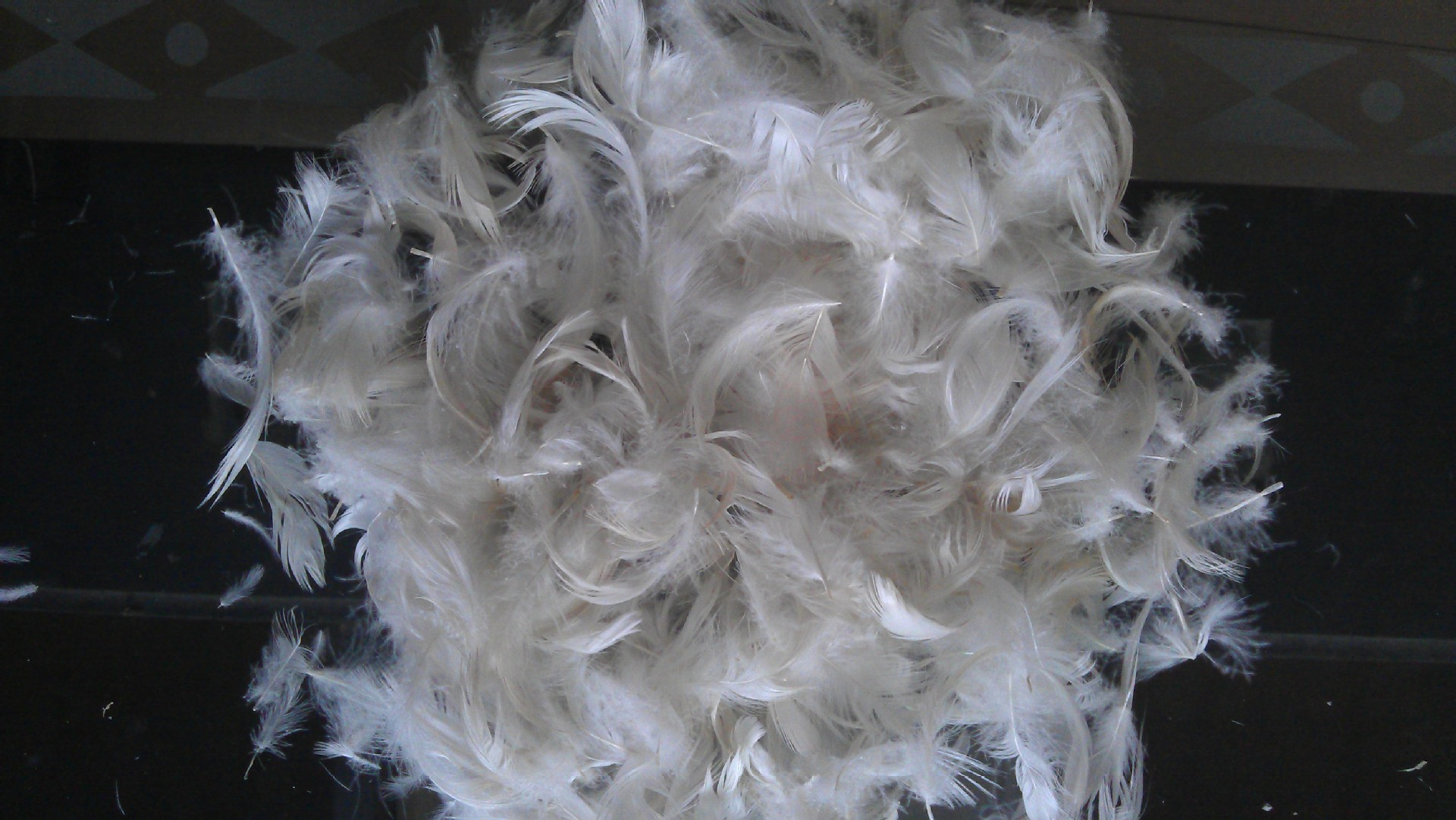 抱枕 羽绒 白鸭毛片 白色鸭毛 鸭毛价格