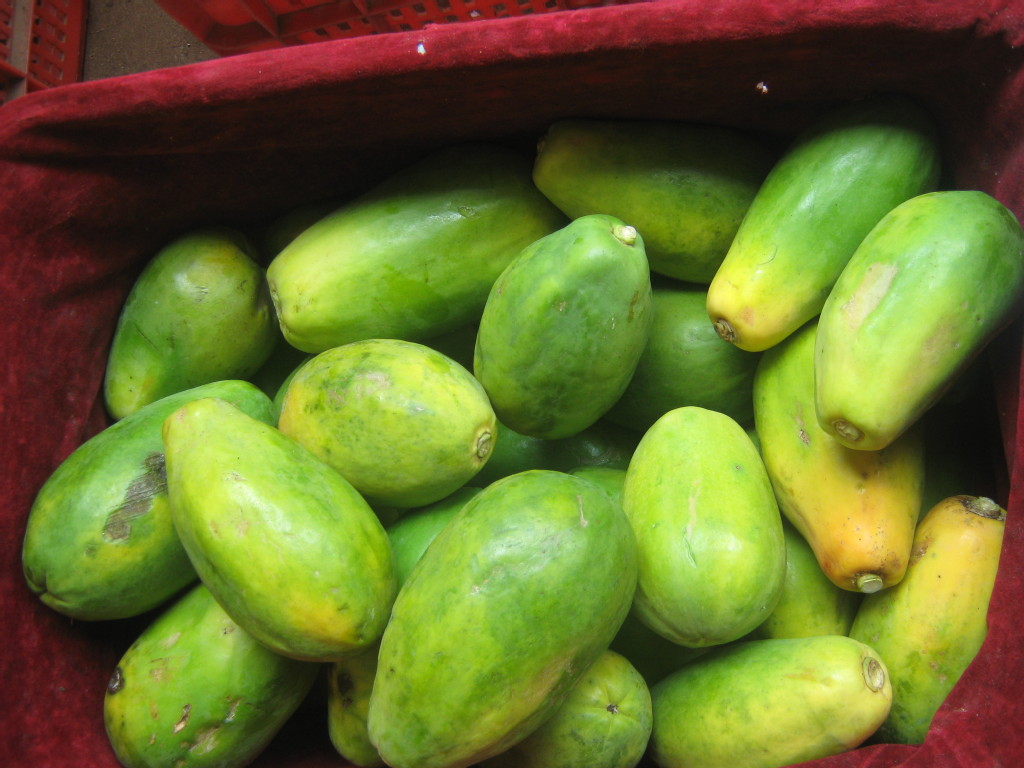 供应海南产新鲜二级木瓜,次木瓜 - 食品饮料批发交易网