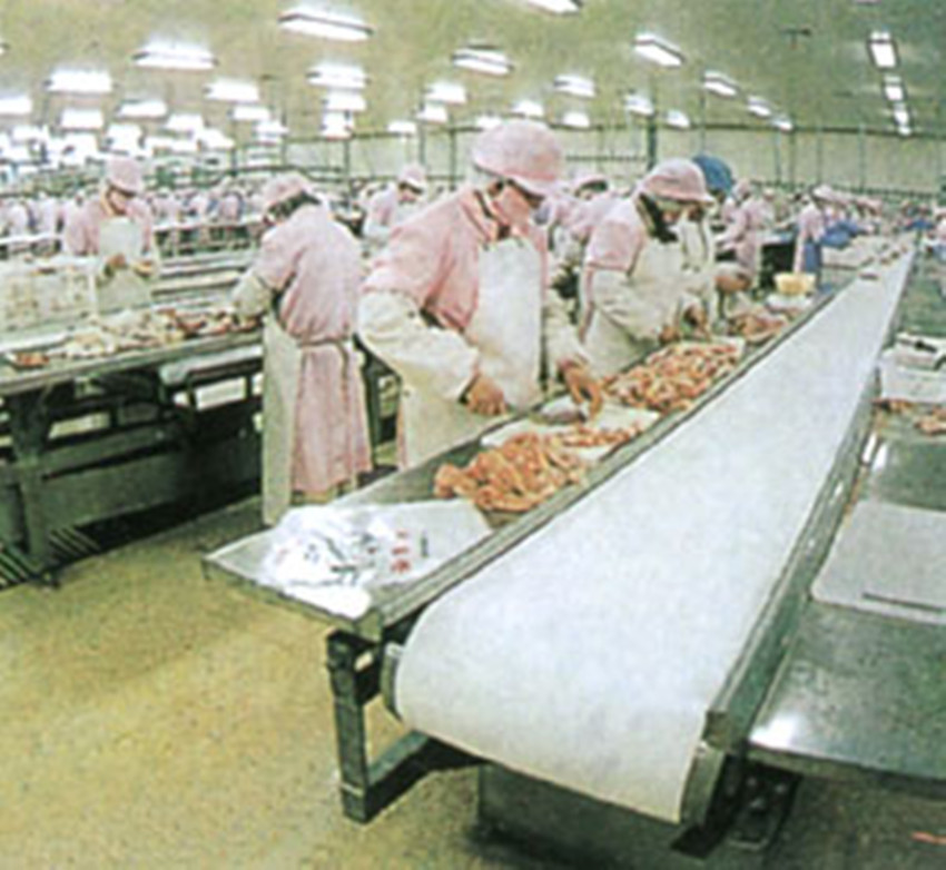 tzx肉獭兔屠宰加工生产线獭兔宰杀流水线肉兔屠宰流水线设备