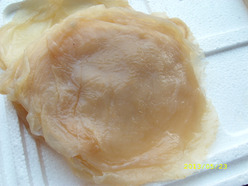 低价 批发 大量 大连 美味 鲜美 精品 蛰头 棉蛰 海蜇皮-饼干产业网