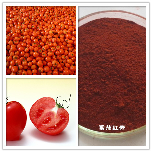 供应优质天然番茄红素 美容保健抗氧化 天然