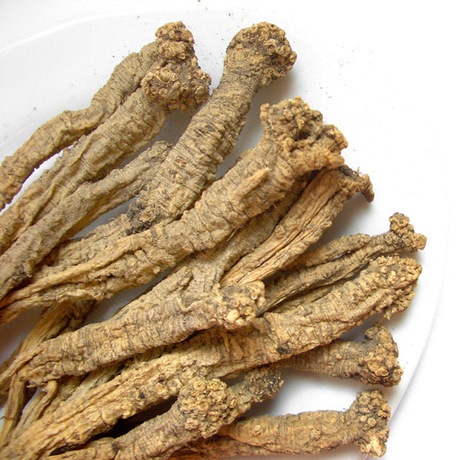 供应野生党参 长白山党参批发 东北十余年参龄无薰山党参益气养血