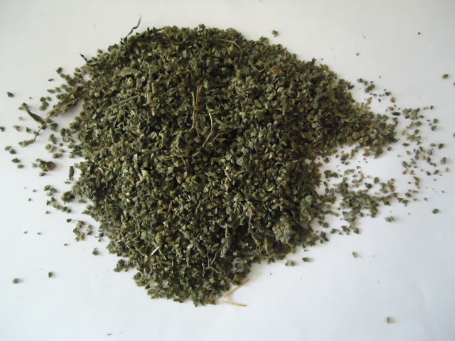 新疆优质荨麻籽