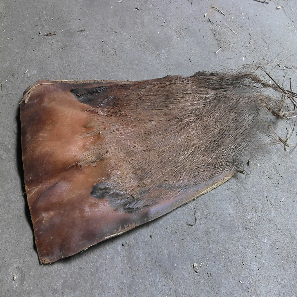 批发供应 棕衣皮 棕皮 蓑衣 支持混批