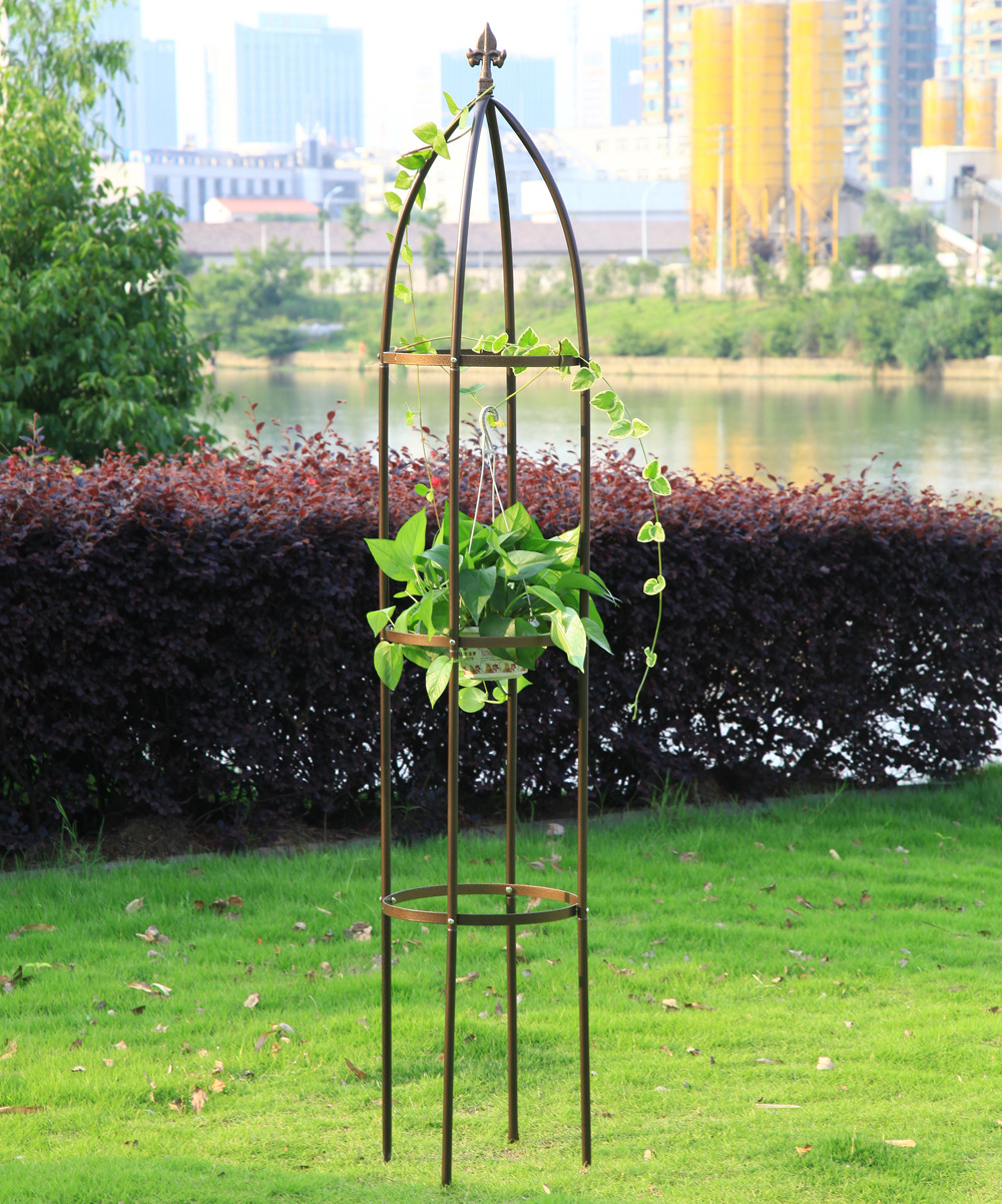 简易拱门花架铁艺爬藤架婚庆柱型花架葡萄丝瓜月季铁线莲