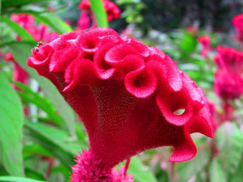 姜兆宝的个人主页-阿里巴巴1688.com