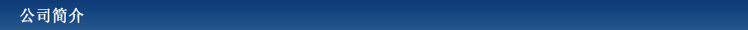 公司简介