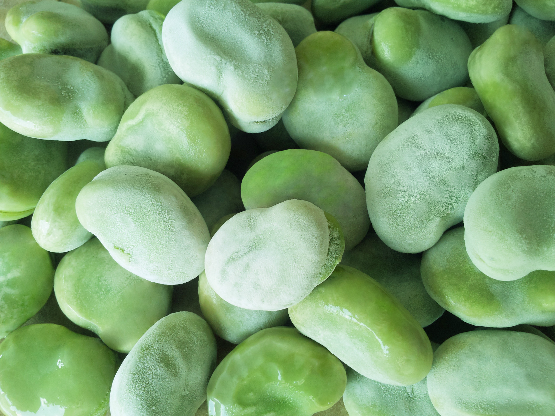 冷冻蚕豆 冷冻 font color=red>蔬菜 /font>  font color=red>速冻 