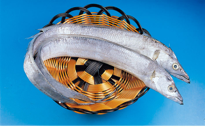 南光食品批发各种规格的刀鱼,带鱼,新鲜刀鱼 2015年新上市