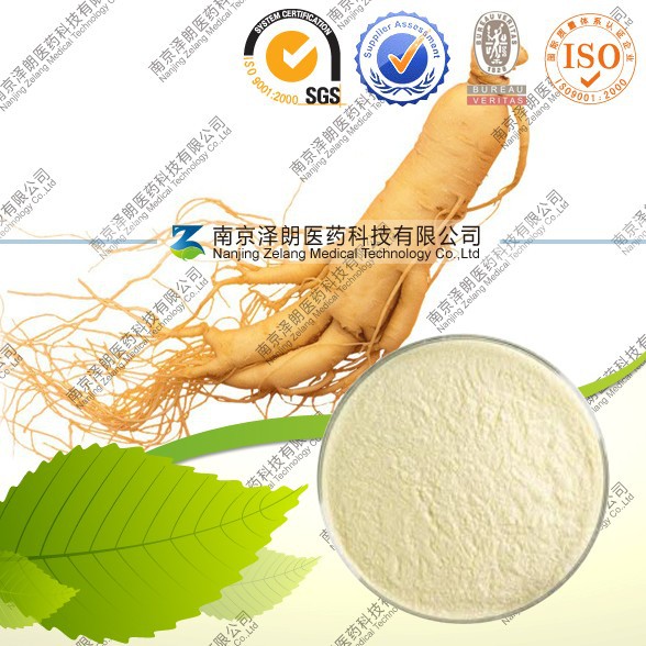 r 人参提取物 129