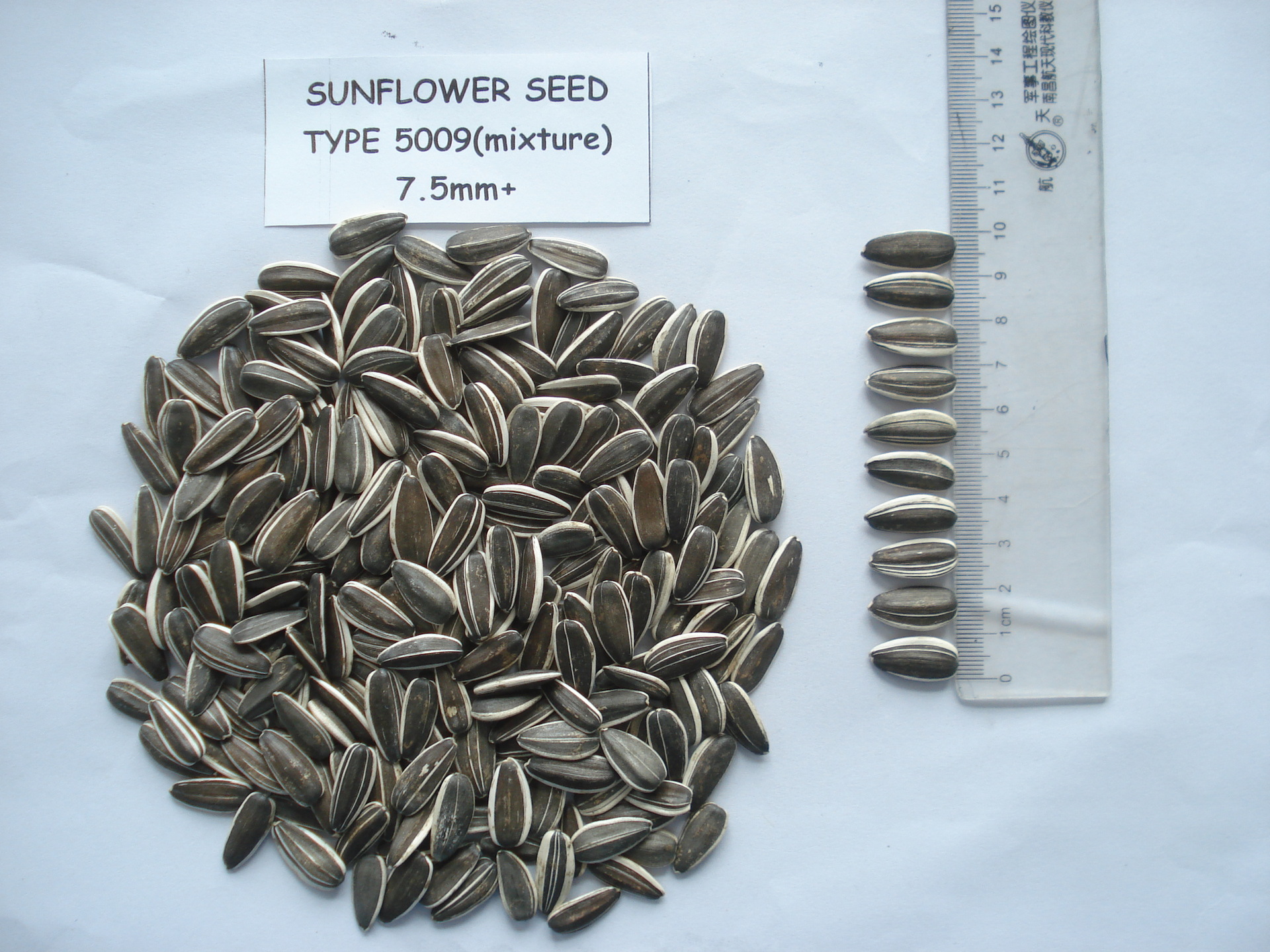 厂家直供产地内蒙优质出口级色选生瓜子葵花籽批发零售