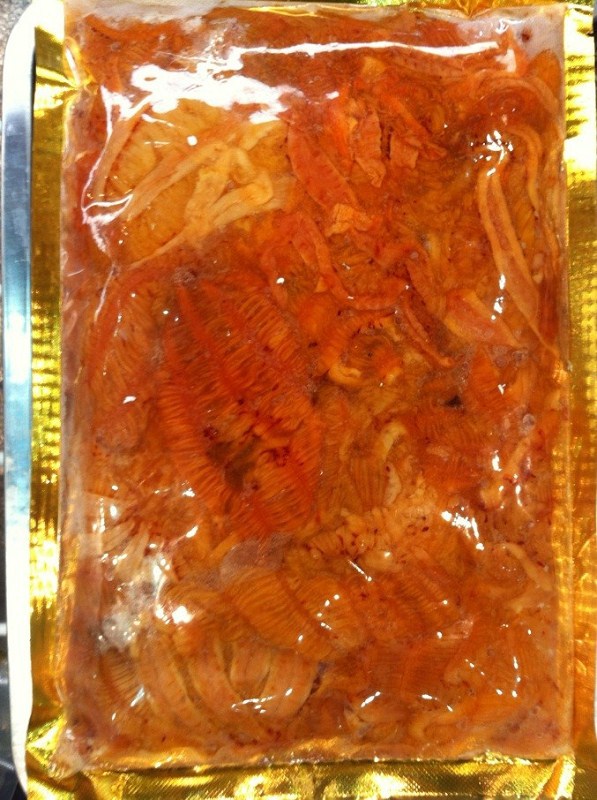 让利销售加拿大珊瑚蚌