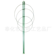 植物生长支架种菜种花爬藤架花支架盆栽牵引攀爬支柱花架可伸缩