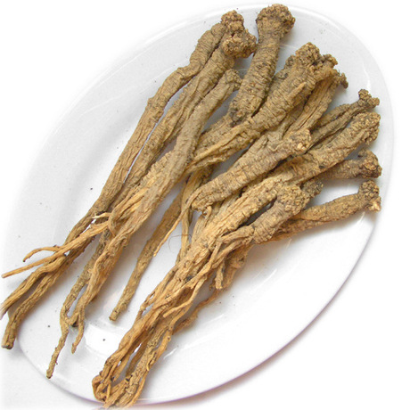 供应野生党参 长白山党参批发 东北十余年参龄无薰山党参益气养血