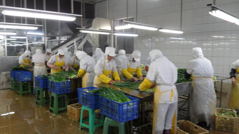 脱水蔬菜脱水胡萝卜厂家直销品质保证联发食品