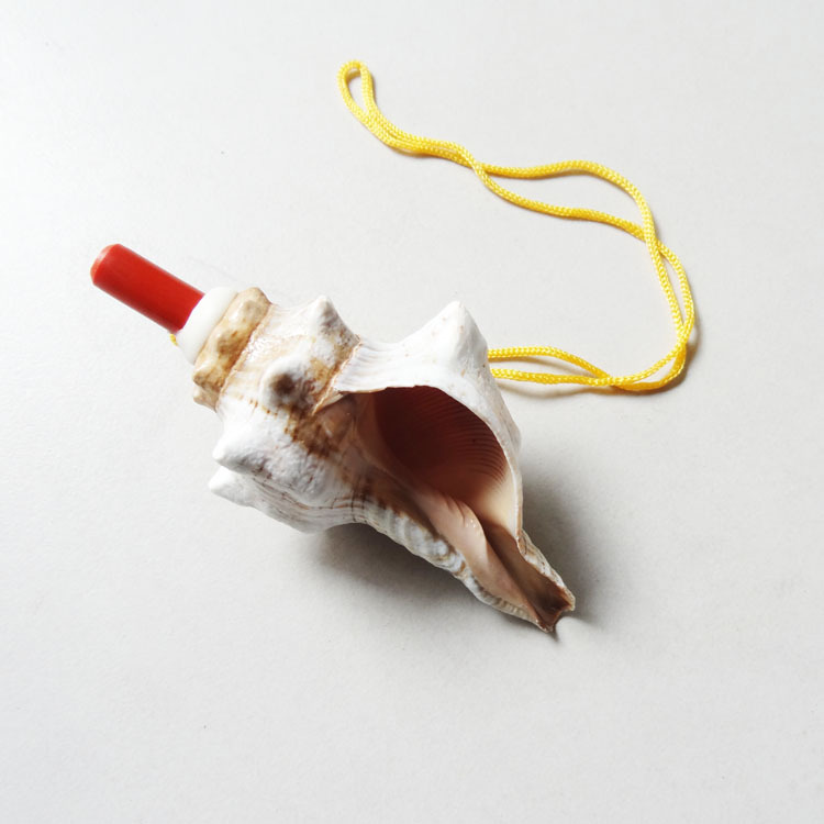 赤旋海螺口哨 海螺哨子 各种海螺贝壳工艺品