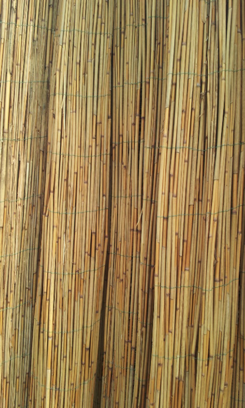 厂家直销天然芦苇 编织苇箔 防潮保温 特价苇箔 白洋淀苇箔