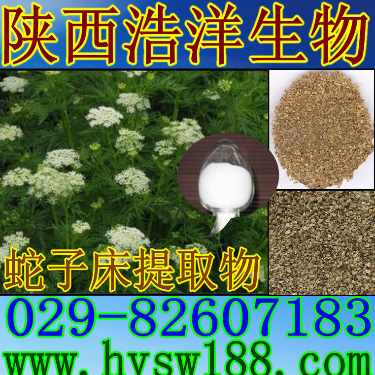 蛇子床