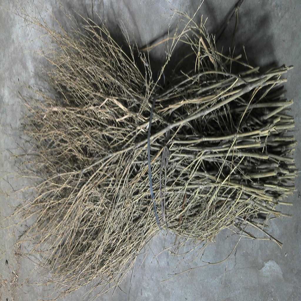 批发供应竹枝扫材料 工艺品材料 做扫帚用的竹枝