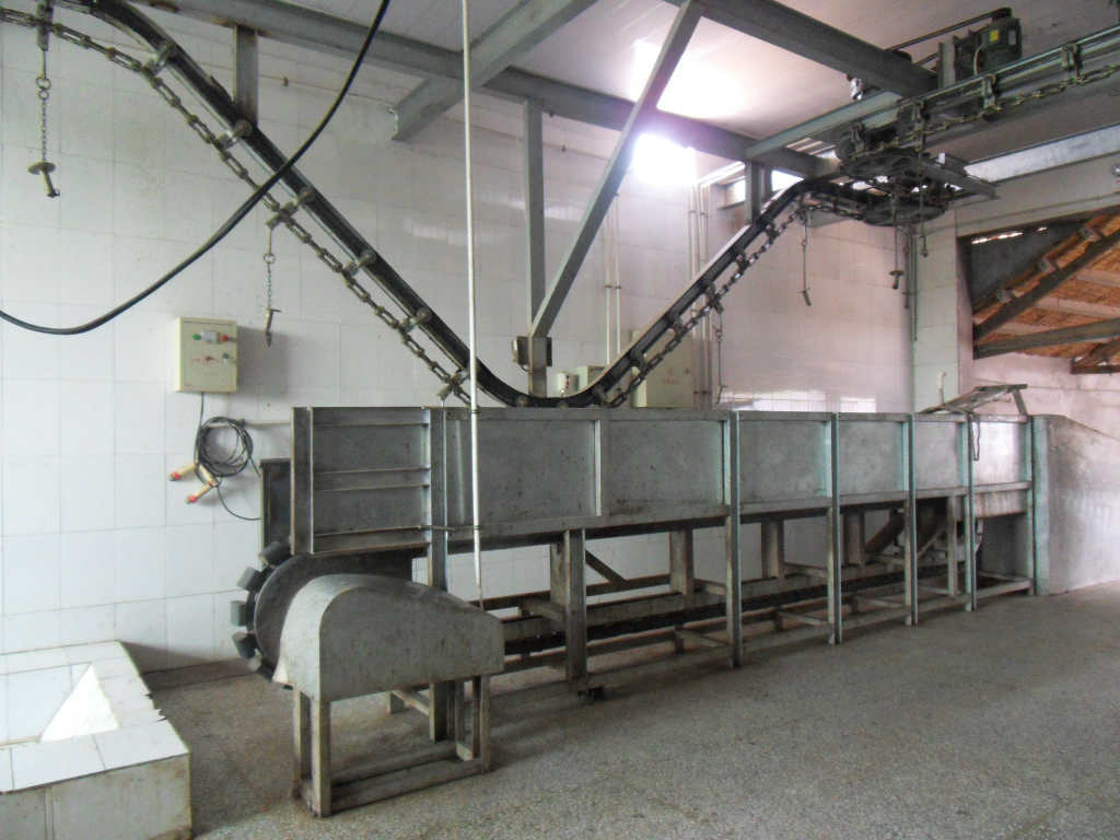 诸城广源屠宰机械供应刨毛机 质量效果好