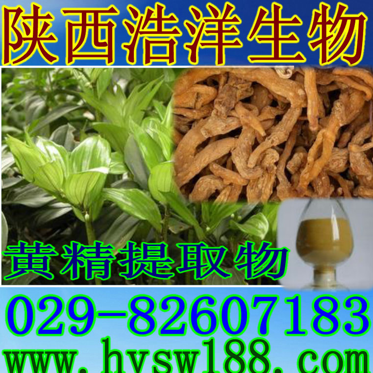 黄精