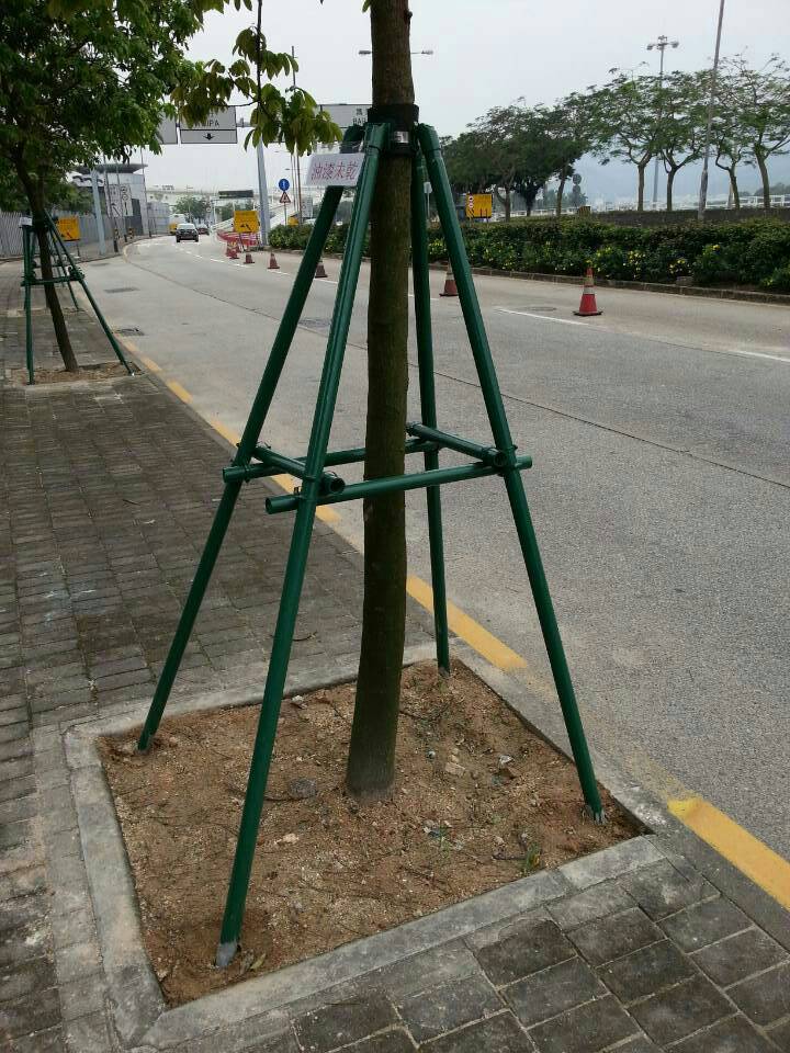 树木支撑树支架树支撑木桩杉木松木杆银杏香樟香蕉椰子树绿化支撑
