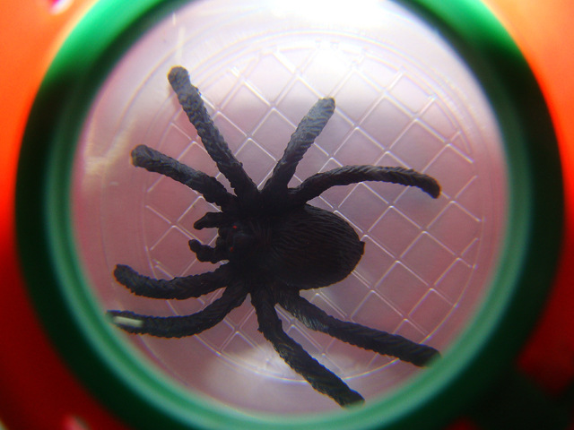 厂家直销昆虫放大镜,放大镜,筒式放大镜,20167a