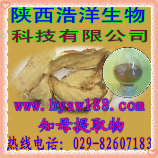 知母4