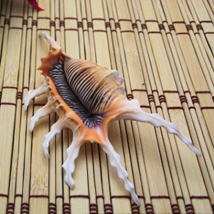 送女友惊喜创意生日礼物婚庆广告橱窗道具地台金黄蜘蛛螺