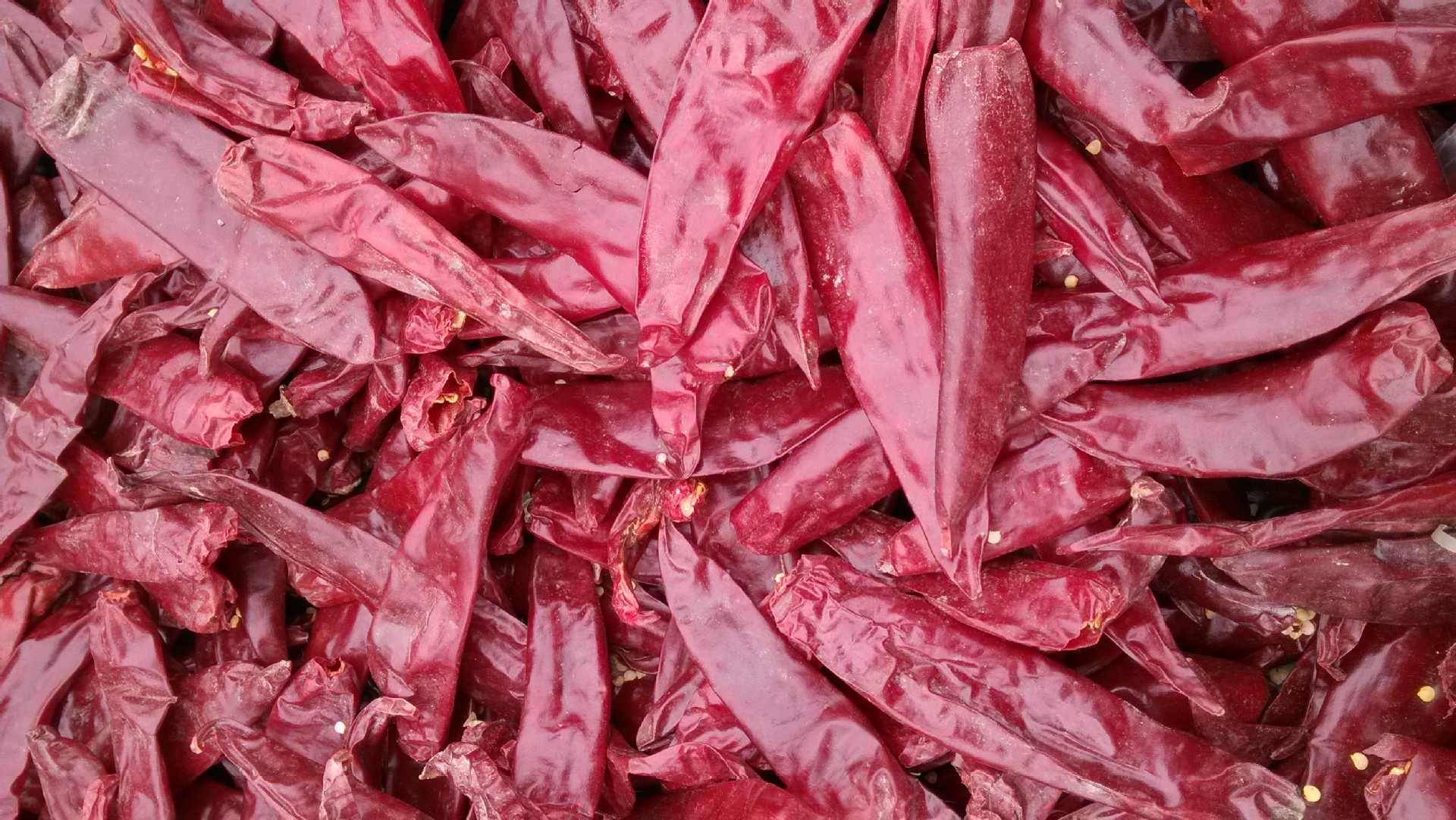 供应新疆甜椒 美国红 内蒙益都红 北京红 金塔