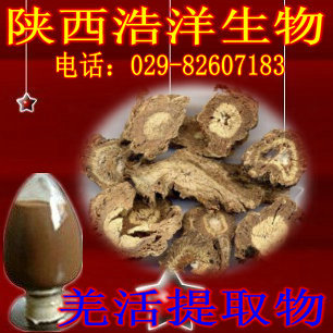 羌活提取物