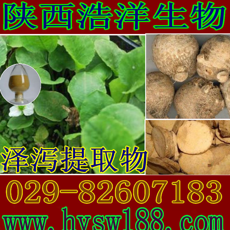泽泻