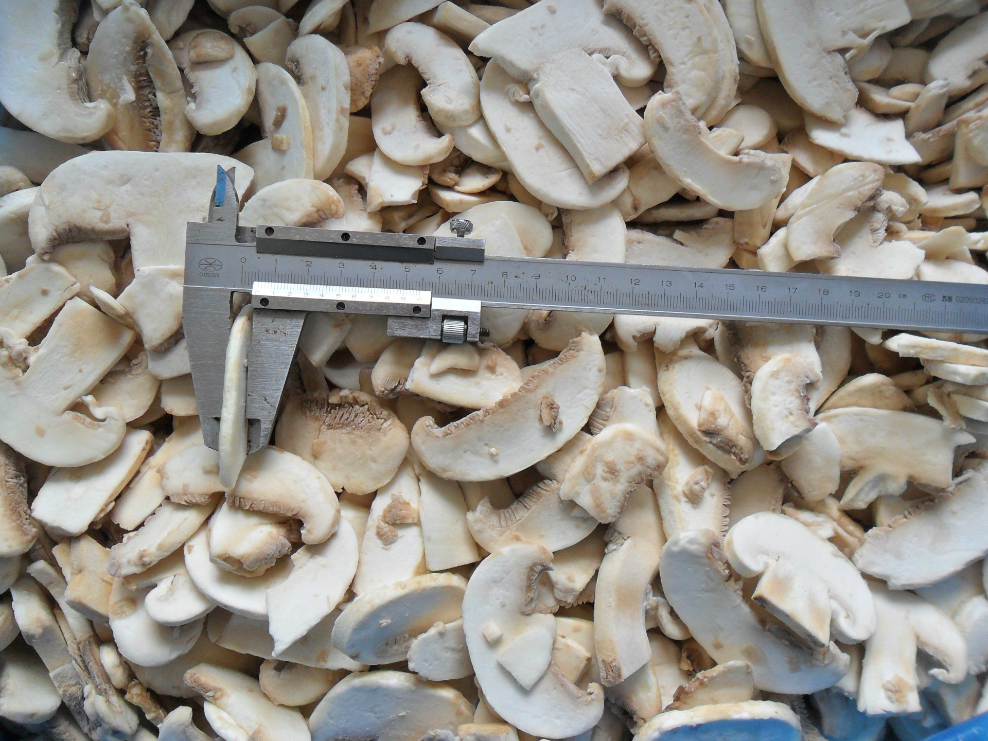 速冻双孢菇 整菇片菇