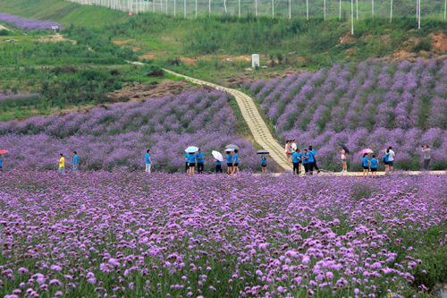 万里亚发路,真诚第一步, 亚发 人将继续以真诚服
