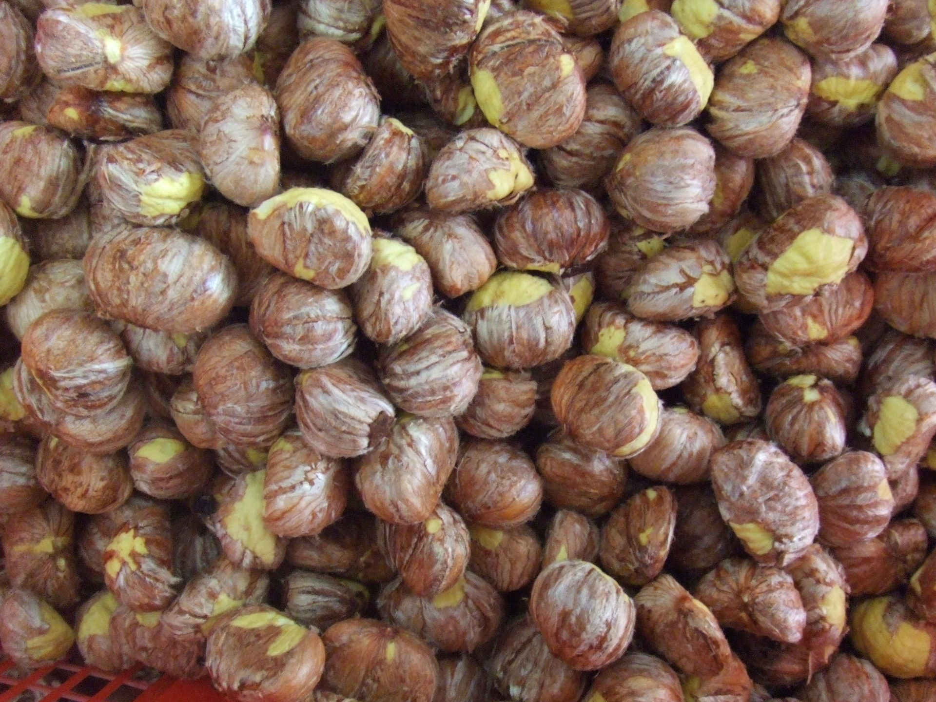 信阳市润海板栗贸易有限公司