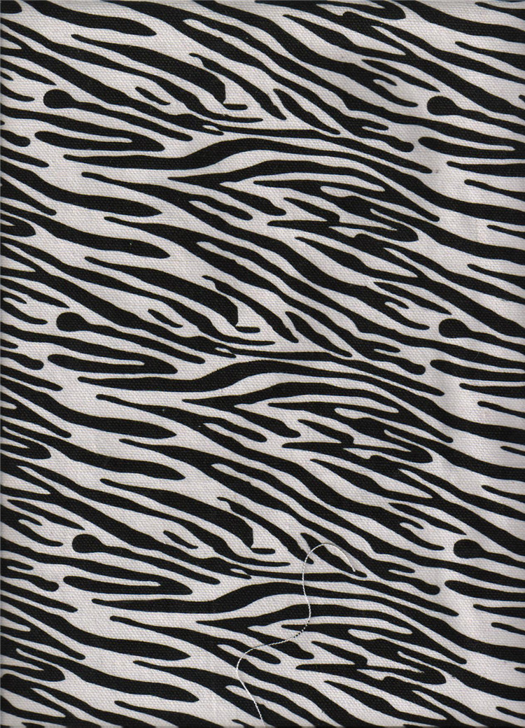 斑马纹 004