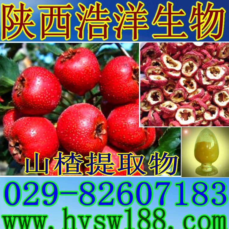 山楂